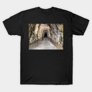 Stumphouse Tunnel T-Shirt